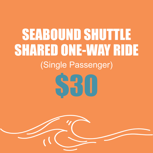 SeaBound Shuttle: Shared Cruise Transport One-Way